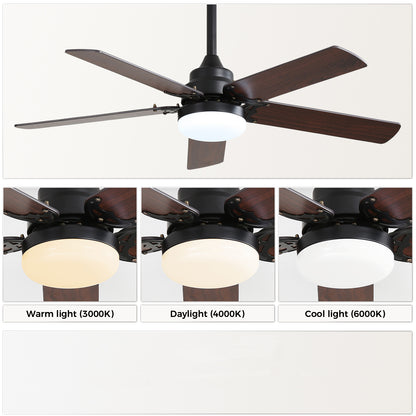 42 Inch Modern Ceiling Fan With LED Light 5 Blades Remote Control Reversible DC Motor Black For Bedroom